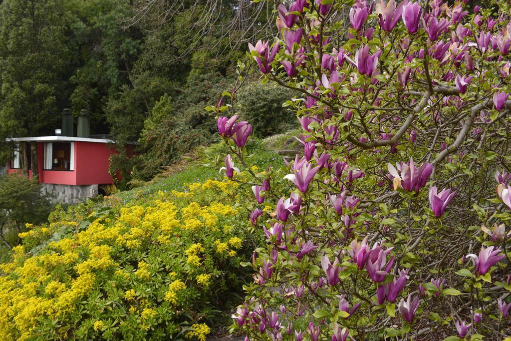 Hotel Antumalal Pucon Luaran gambar